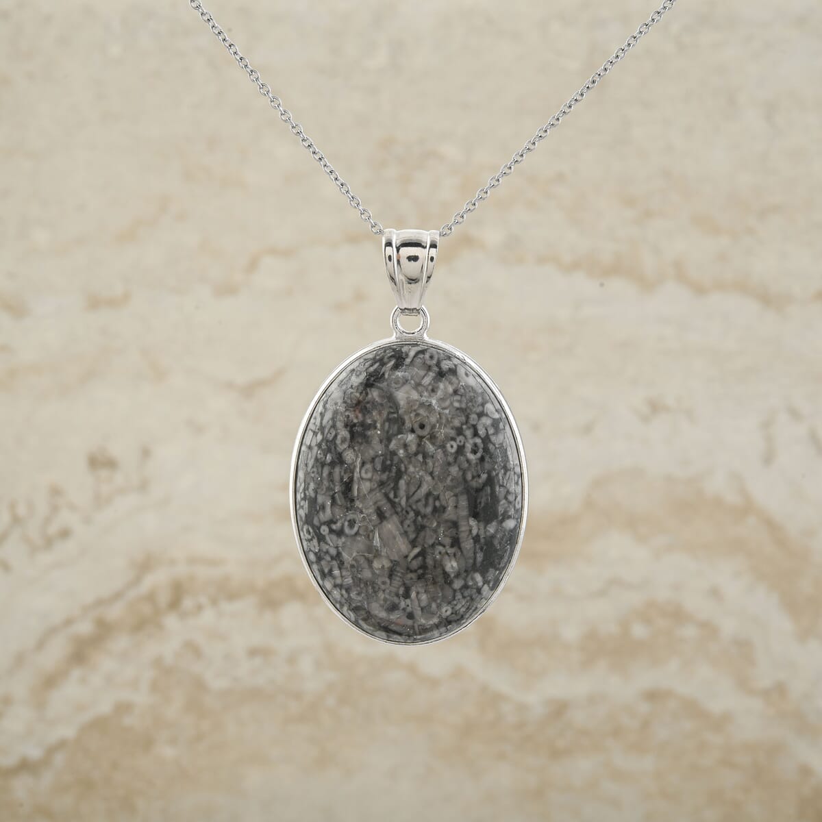 Plain Oval Inlay Frame Hand-Polished Fossil Insect Jasper 67.00 ctw Pendant in Silvertone with Stainless Steel Necklace (20 Inches) image number 1