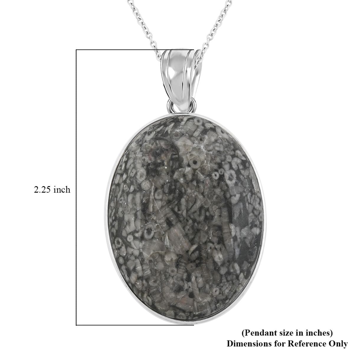 Plain Oval Inlay Frame Hand-Polished Fossil Insect Jasper 67.00 ctw Pendant in Silvertone with Stainless Steel Necklace (20 Inches) image number 5