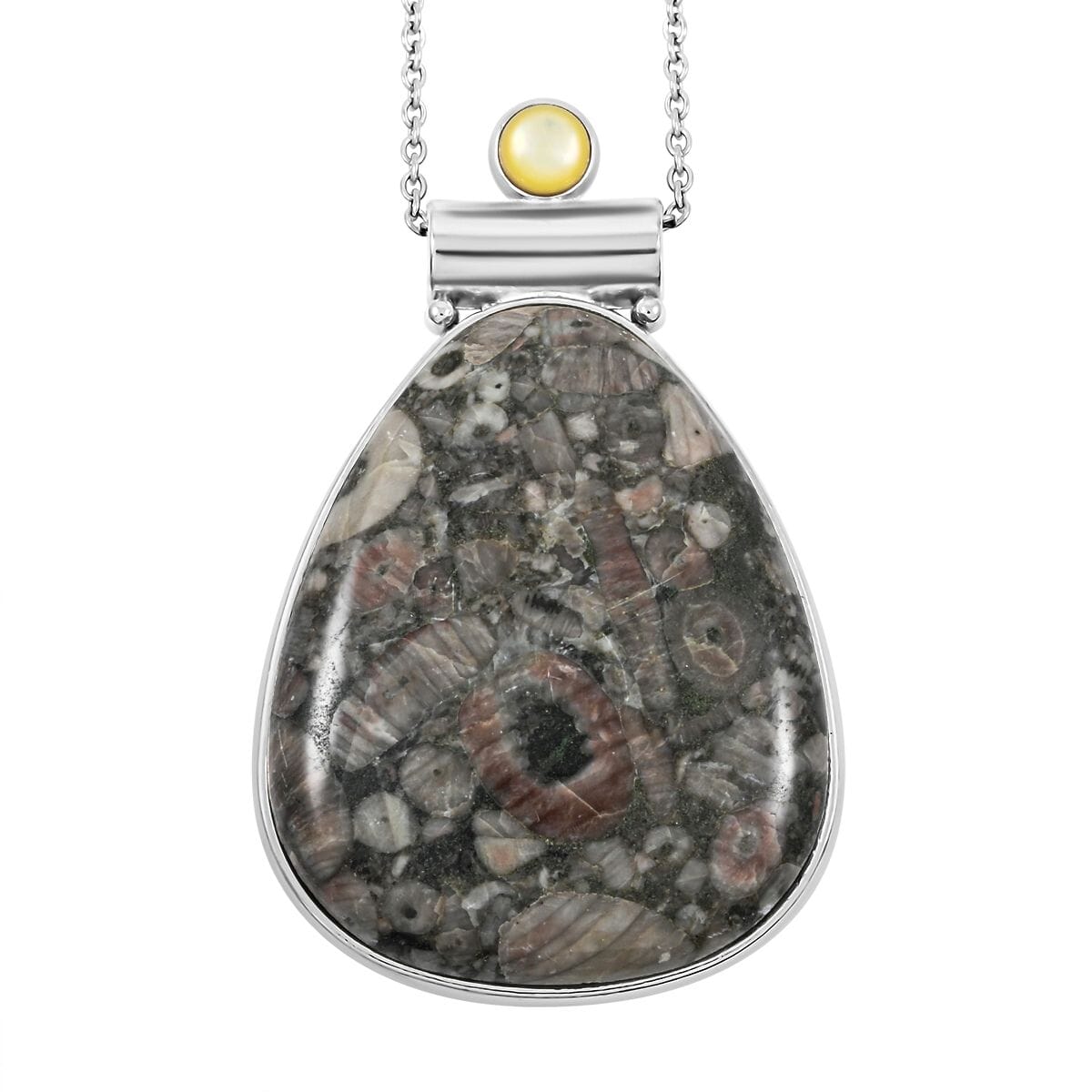 Center Stone Color Varies Insect Fossil Jasper 53.00 ctw Inlay Drop Frame Pendant in Silvertone with Stainless Steel Necklace (20 Inches) image number 0