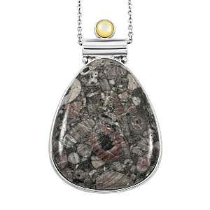 Center Stone Color Varies Insect Fossil Jasper 53.00 ctw Inlay Drop Frame Pendant in Silvertone with Stainless Steel Necklace (20 Inches)