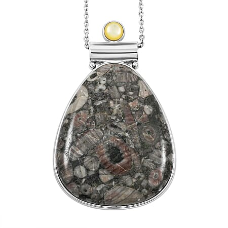 Insect Fossil Jasper - Product card gallery slide 1 (10176680132921)