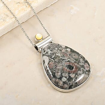 Insect Fossil Jasper - Product card gallery slide 2 (10176680132921)