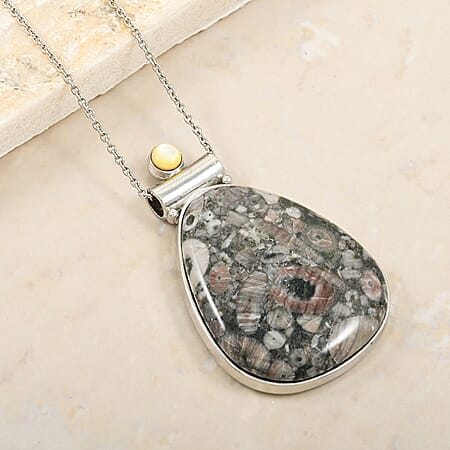 Insect Fossil Jasper - Product card gallery slide 2 (10176680132921)