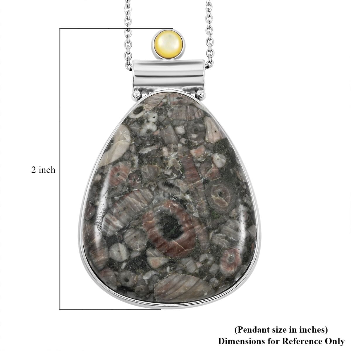 Center Stone Color Varies Insect Fossil Jasper 53.00 ctw Inlay Drop Frame Pendant in Silvertone with Stainless Steel Necklace (20 Inches) image number 5