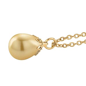 Golden shell 90.00 ctw Set Earrings and Pendant Necklace (20 Inches) in Silvertone