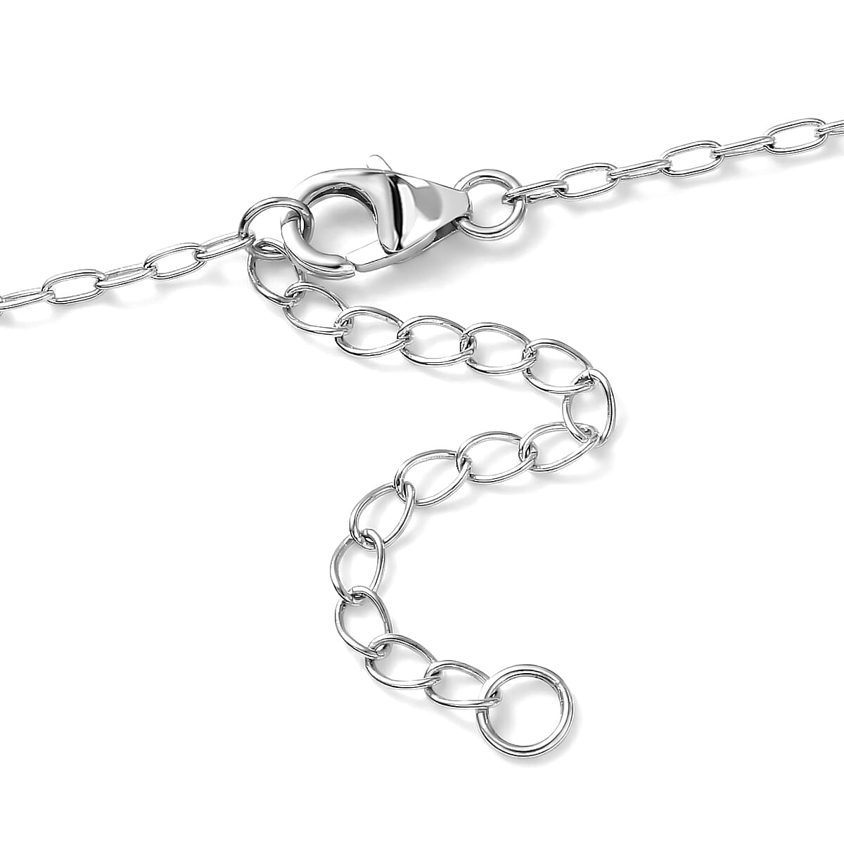 D'Joy Passport to Israel Living Creature Pendant Necklace in Sterling Silver 4.80 Grams 20 Inches image number 5