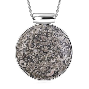 Hand-Polish Round Insect Fossil Jasper 48.00 ctw Pendant in Silvertone with Stainless Steel Necklace 20 Inches