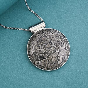 Hand-Polish Round Insect Fossil Jasper 48.00 ctw Pendant in Silvertone with Stainless Steel Necklace 20 Inches