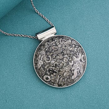 Insect Fossil Jasper - Product card gallery slide 2 (10176729022777)