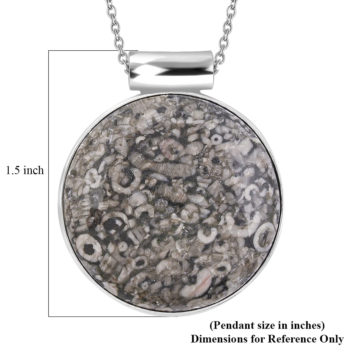 Hand-Polish Round Insect Fossil Jasper 48.00 ctw Pendant in Silvertone with Stainless Steel Necklace 20 Inches image number 5