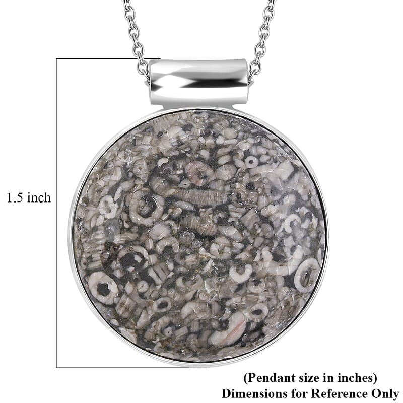 Hand-Polish Round Insect Fossil Jasper 48.00 ctw Pendant in Silvertone with Stainless Steel Necklace 20 Inches