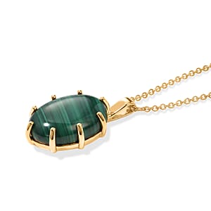 EverTrue African Malachite 21.75 ctw Pendant in 18K YG Plated with ION Plated YG Stainless Steel Necklace (20 Inches)