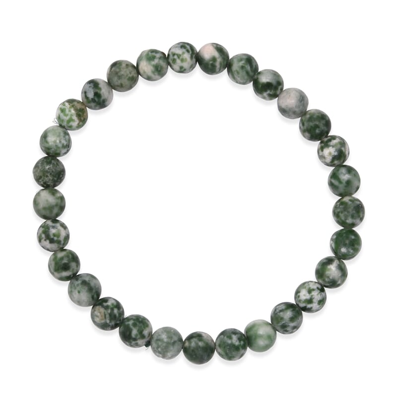 Tree Agate 200.00 ctw Beaded Stretch Bracelet and Necklace (18 Inches) in Silvertone