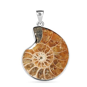 Polished Ammonite 42.00 ctw Pendant in Silvertone with Stainless Steel Necklace 20 Inches