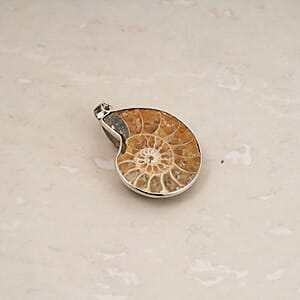 Polished Ammonite 42.00 ctw Pendant in Silvertone with Stainless Steel Necklace 20 Inches