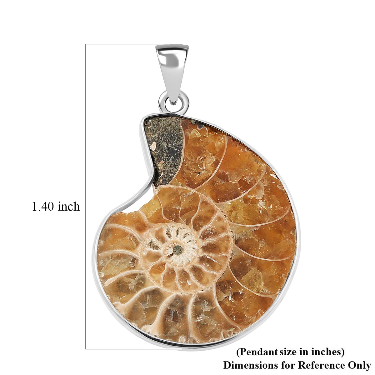 Polished Ammonite 42.00 ctw Pendant in Silvertone with Stainless Steel Necklace 20 Inches image number 4
