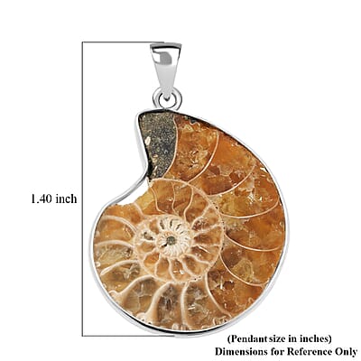 Polished Ammonite 42.00 ctw Pendant in Silvertone with Stainless Steel Necklace 20 Inches