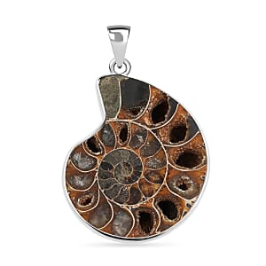 Polished Ammonite 91.00 ctw Pendant in Silvertone with Stainless Steel Necklace 20 Inches