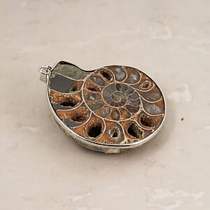 Polished Ammonite 91.00 ctw Pendant in Silvertone with Stainless Steel Necklace 20 Inches