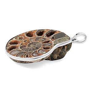 Polished Ammonite 91.00 ctw Pendant in Silvertone with Stainless Steel Necklace 20 Inches
