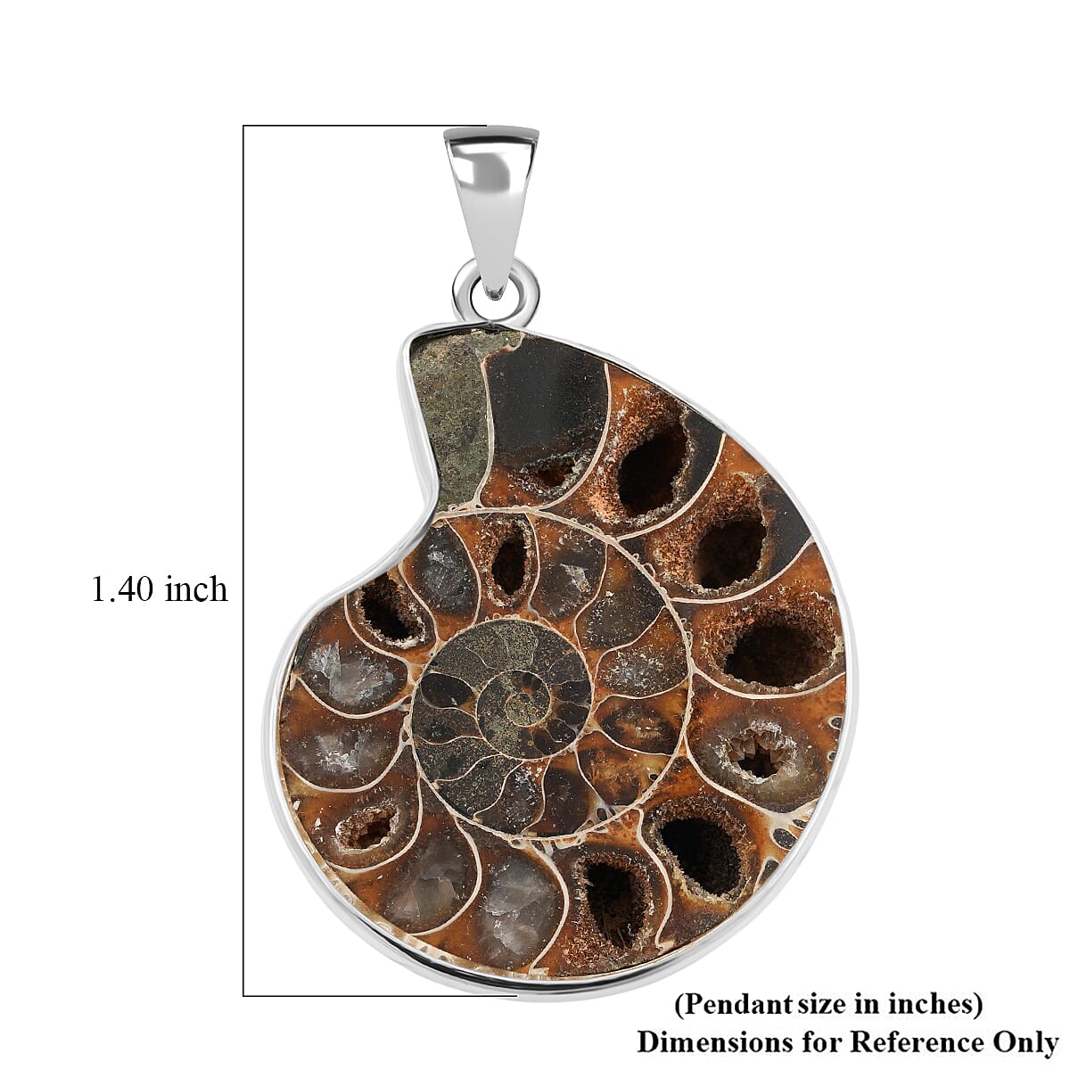Polished Ammonite 91.00 ctw Pendant in Silvertone with Stainless Steel Necklace 20 Inches