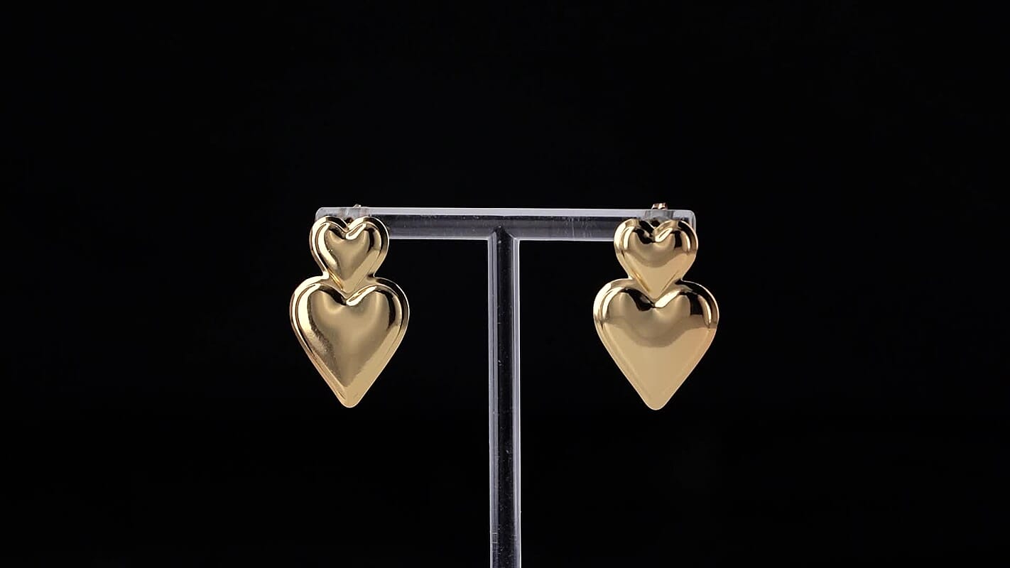 Set of 2 Dangle Earrings in ION Plated YG Stainless Steel