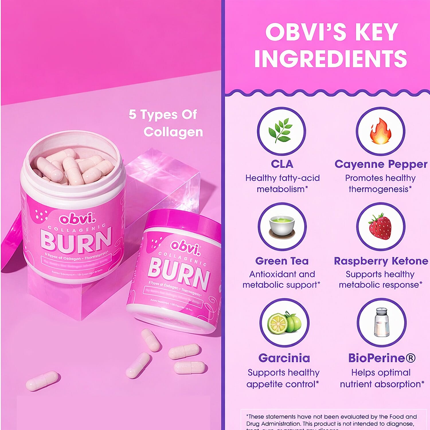 Obvi Collagenic Burn Dietary Fat Burner Supplement (120 Capsules) Made in US - Set of 2