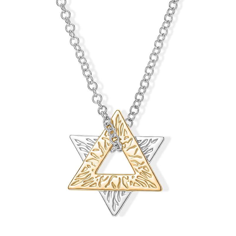 D'Joy Passport to Israel Pendant Necklace in 18K Vermeil YG and Rhodium Over Sterling Silver 20 Inches 7.50 Grams