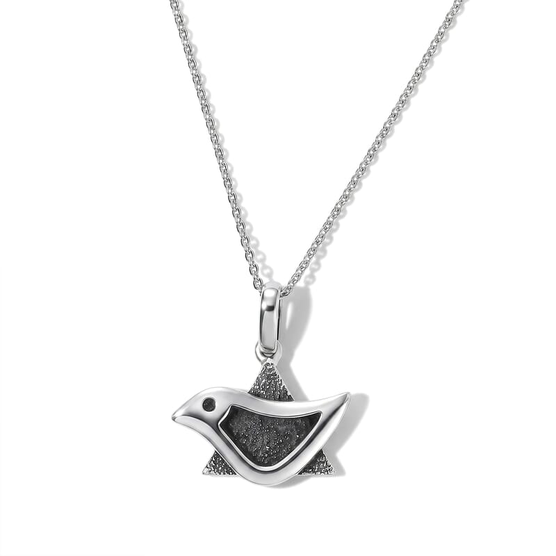 D'Joy Passport to Israel Pendant Necklace in Rhodium Over Sterling Silver 20 Inches 4.80 Grams