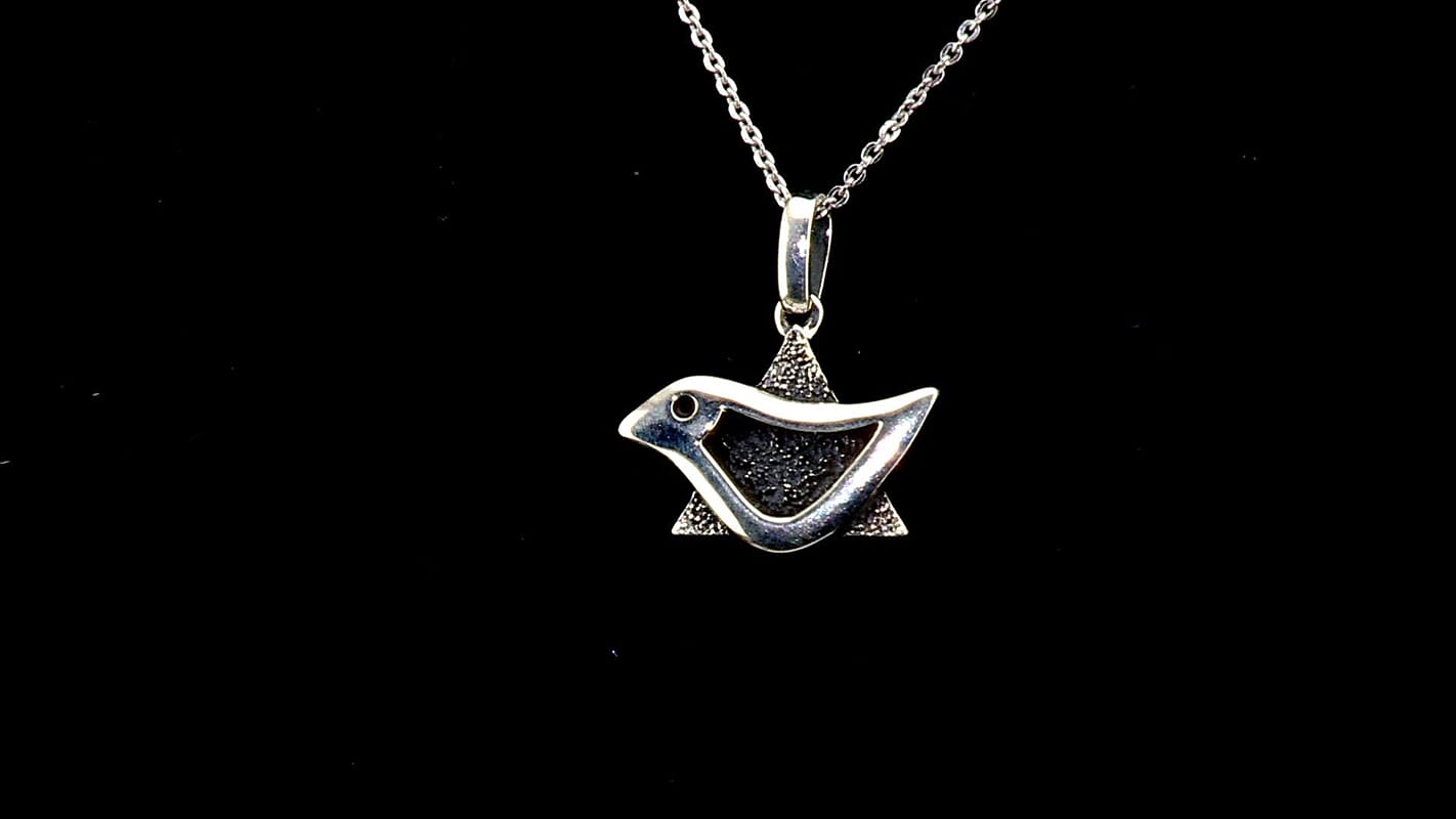 D'Joy Passport to Israel Rhodium Over Sterling Silver Pendant Necklace (20 Inches) (4.80 g) 4501718
