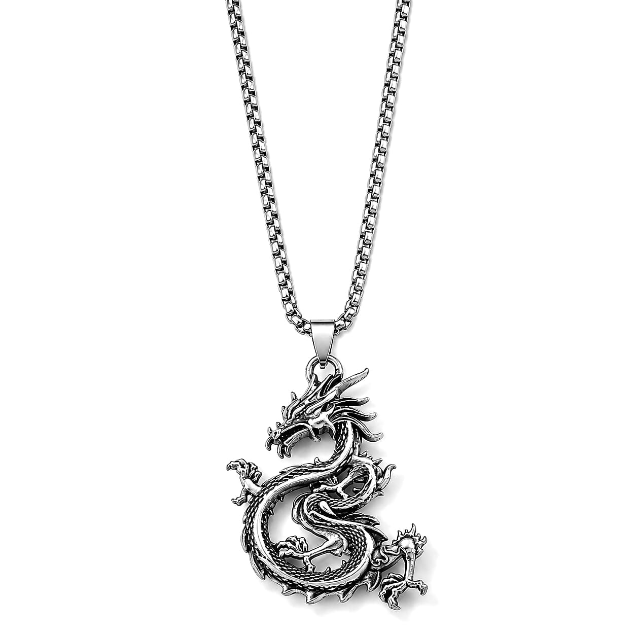 Dragon Pendant in Black Silvertone with Stainless Steel Necklace (27.25 Inches)