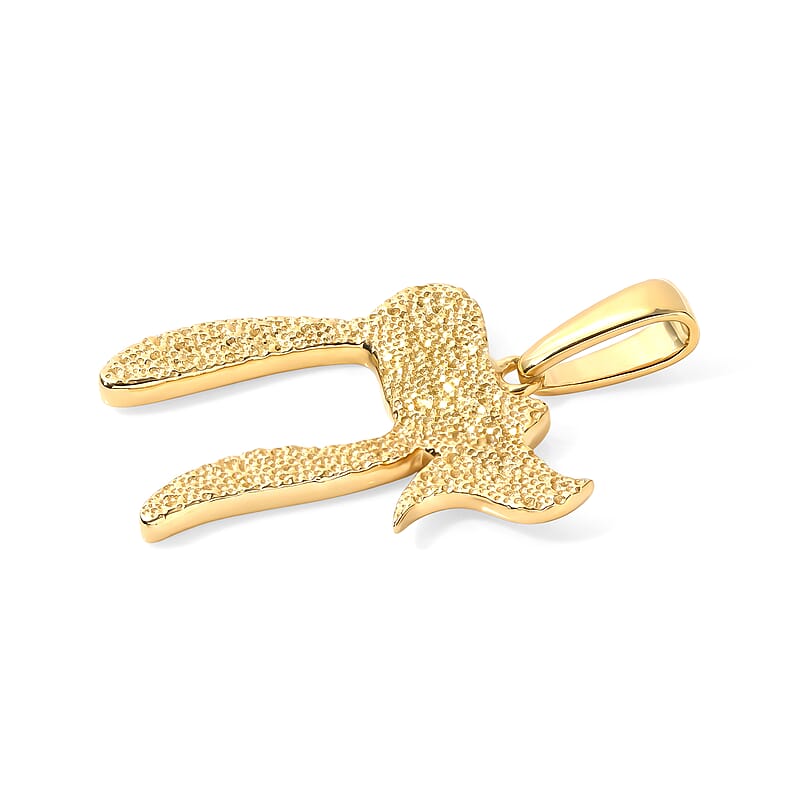 D'Joy Passport to Israel Pendants with Necklace in 18K Vermeil Yellow Gold Over Sterling Silver 20 Inches 13.65 Grams
