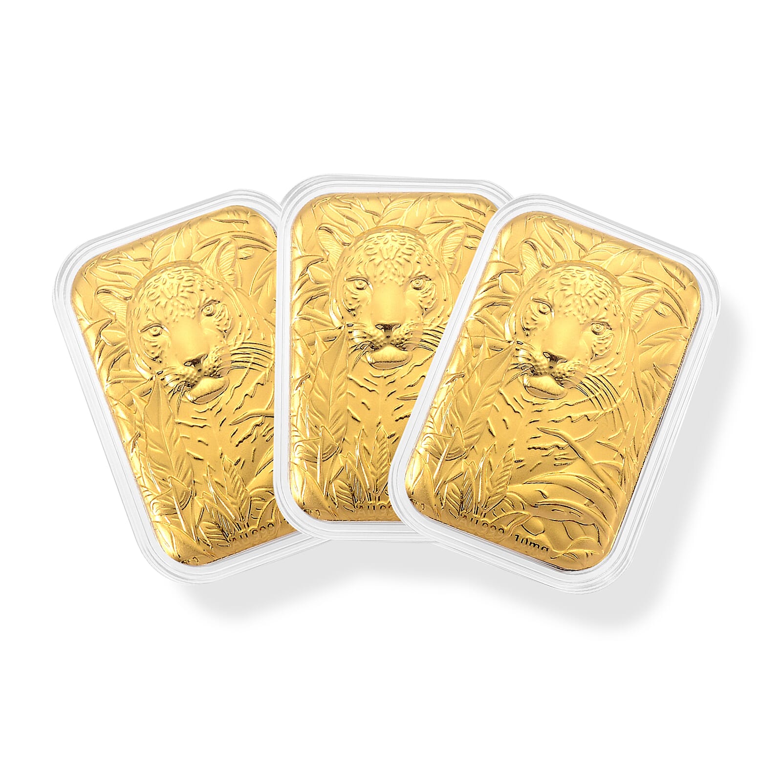 Set of 3 - Regal Tiger the Quiet Power That Commands the Room