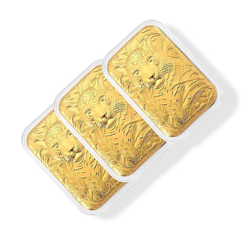 Set of 3 - Regal Tiger the Quiet Power That Commands the Room