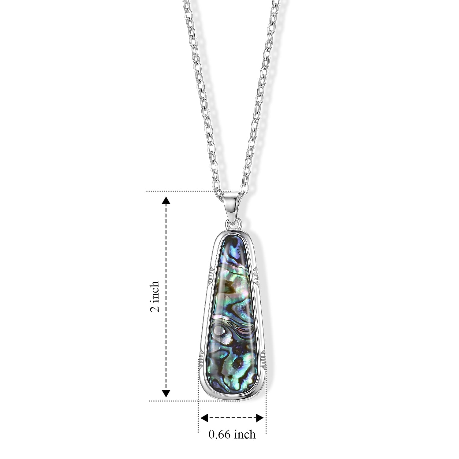 Abalone Shell Tranquil Beauty of The Ocean Pendant Necklace in Silvertone 20-22 Inches