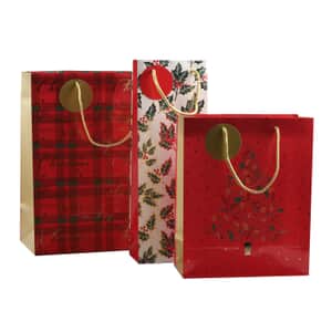 Set of 3 Maroon, Multi Color Paper Glitter Shopper Bag