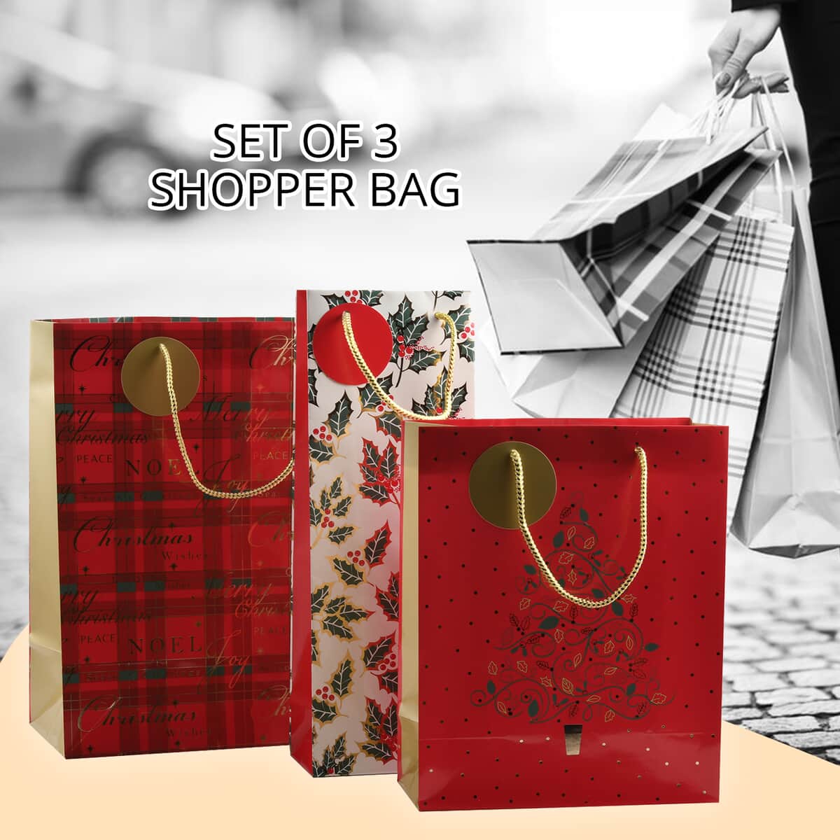 Set of 3 Maroon, Multi Color Paper Glitter Shopper Bag image number 1