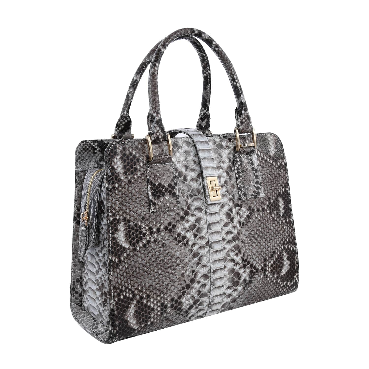 Dkny snake print on sale bag