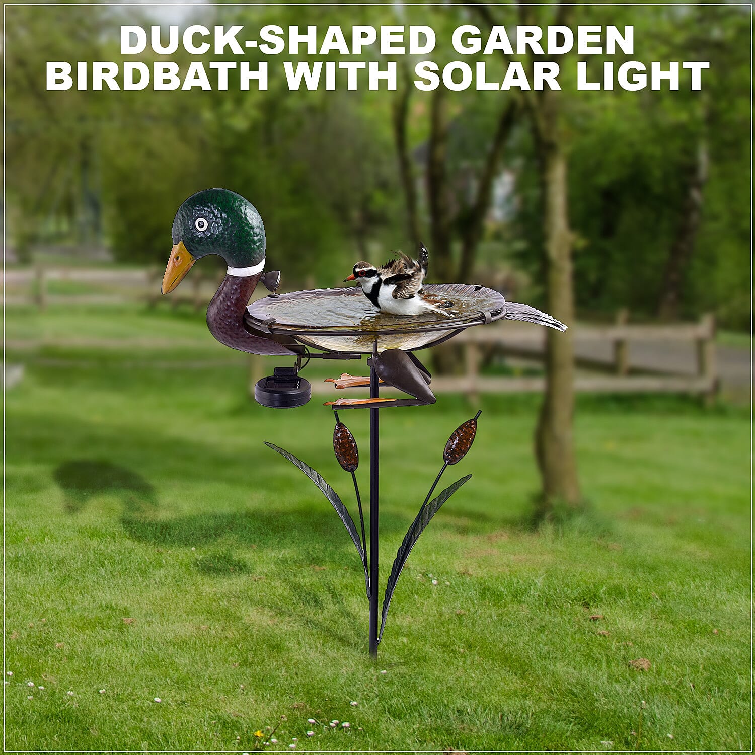 Duck - Product card gallery slide 2 (9431133028607)