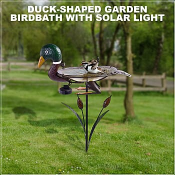 Duck - Product card gallery slide 2 (9431133028607)
