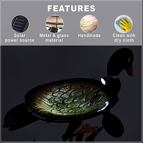 Duck - Product card gallery slide 3 (9431133028607)
