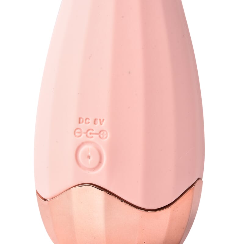 Dual Sided Electric Silicone Beauty Cleanser and Massager