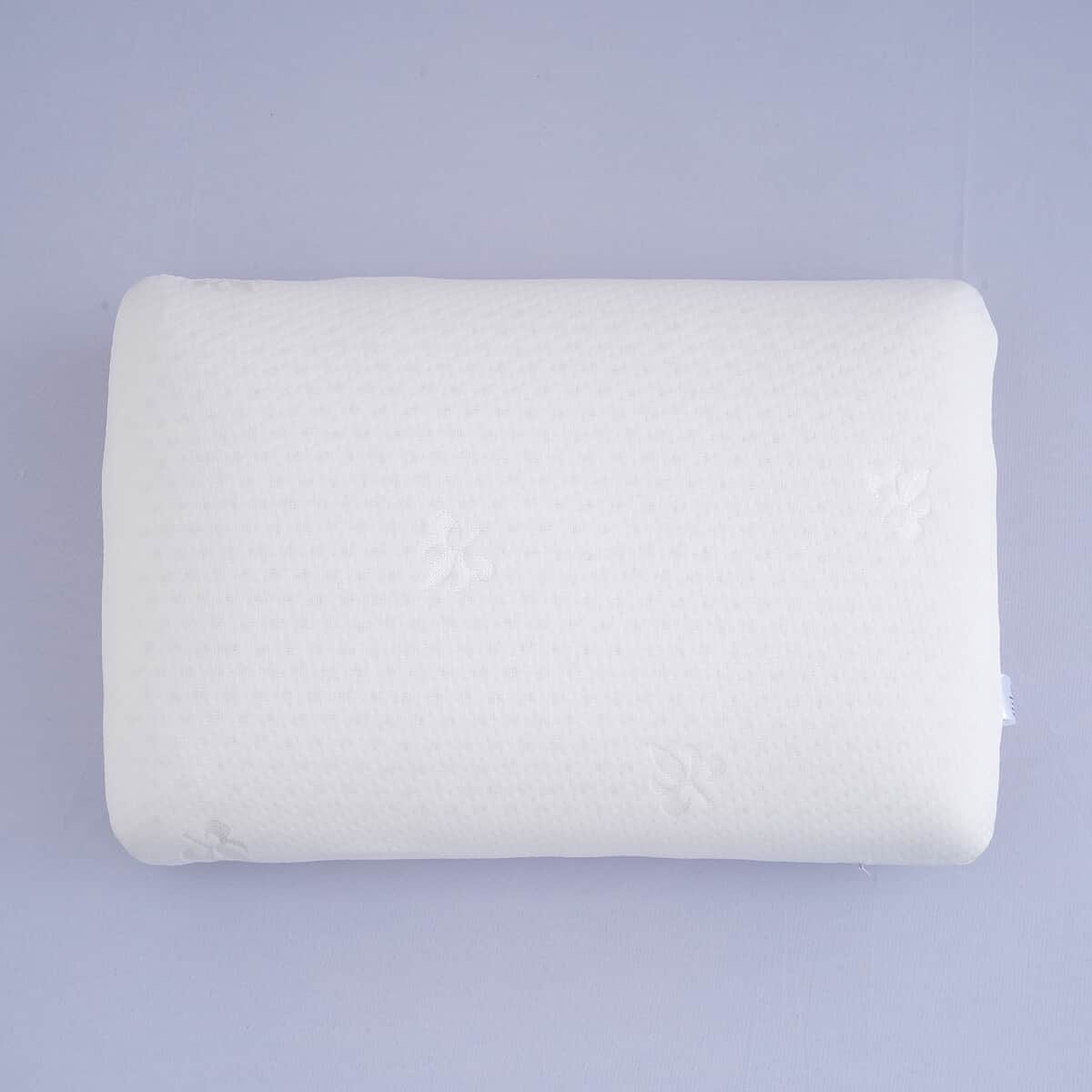 Homesmart Double Layer Covered Natural Latex Pillow image number 0