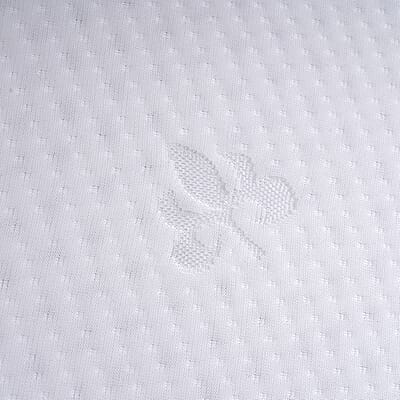 Homesmart Double Layer Covered Natural Latex Pillow