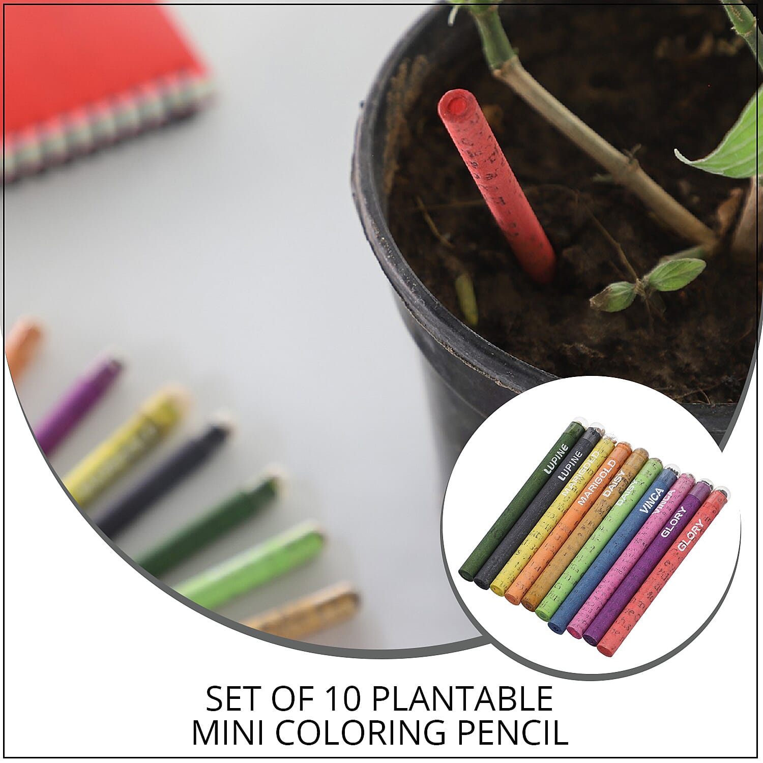 Set of 10 Plantable Mini Colored Pencils (Flower Seeds)
