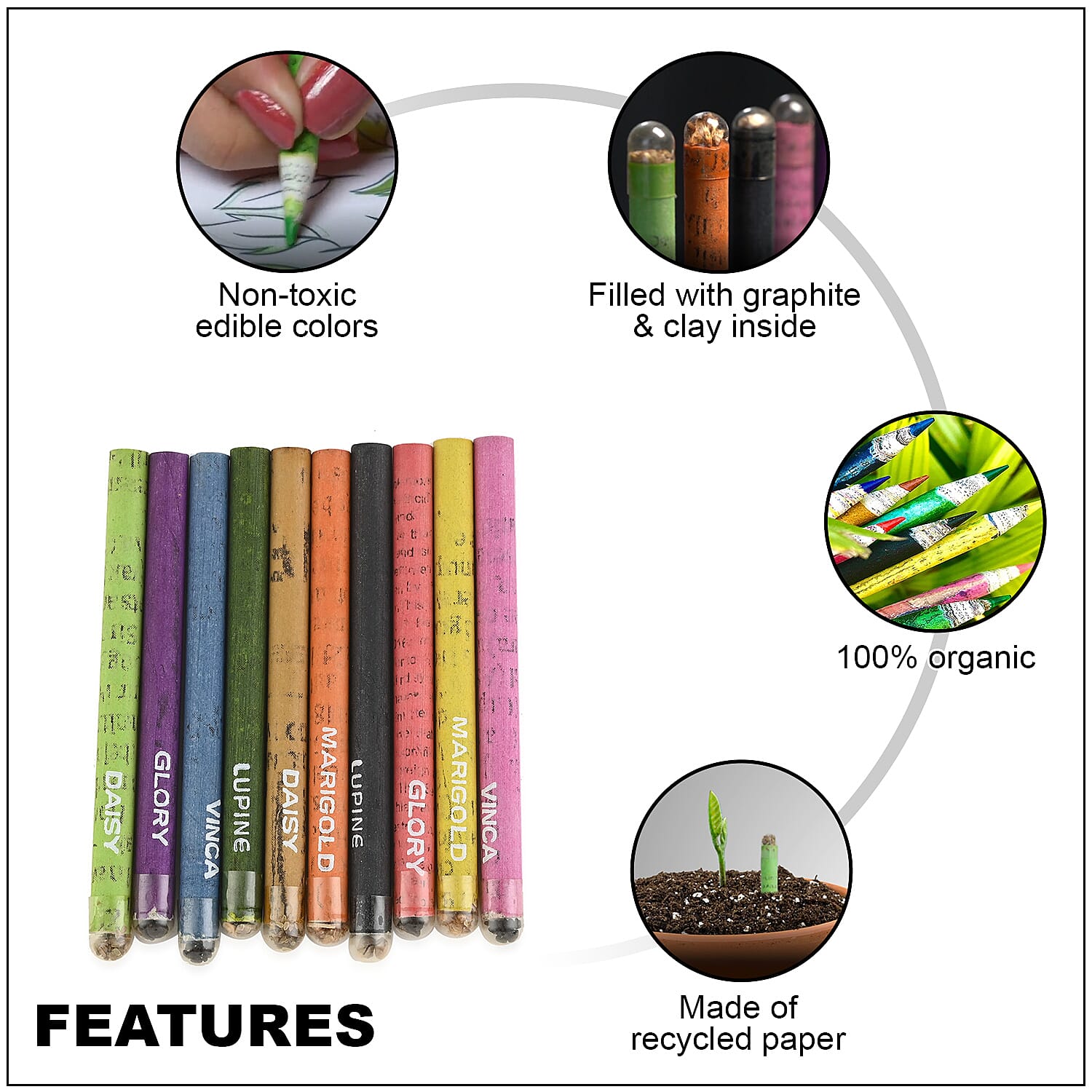 Set of 10 Plantable Mini Colored Pencils (Flower Seeds)