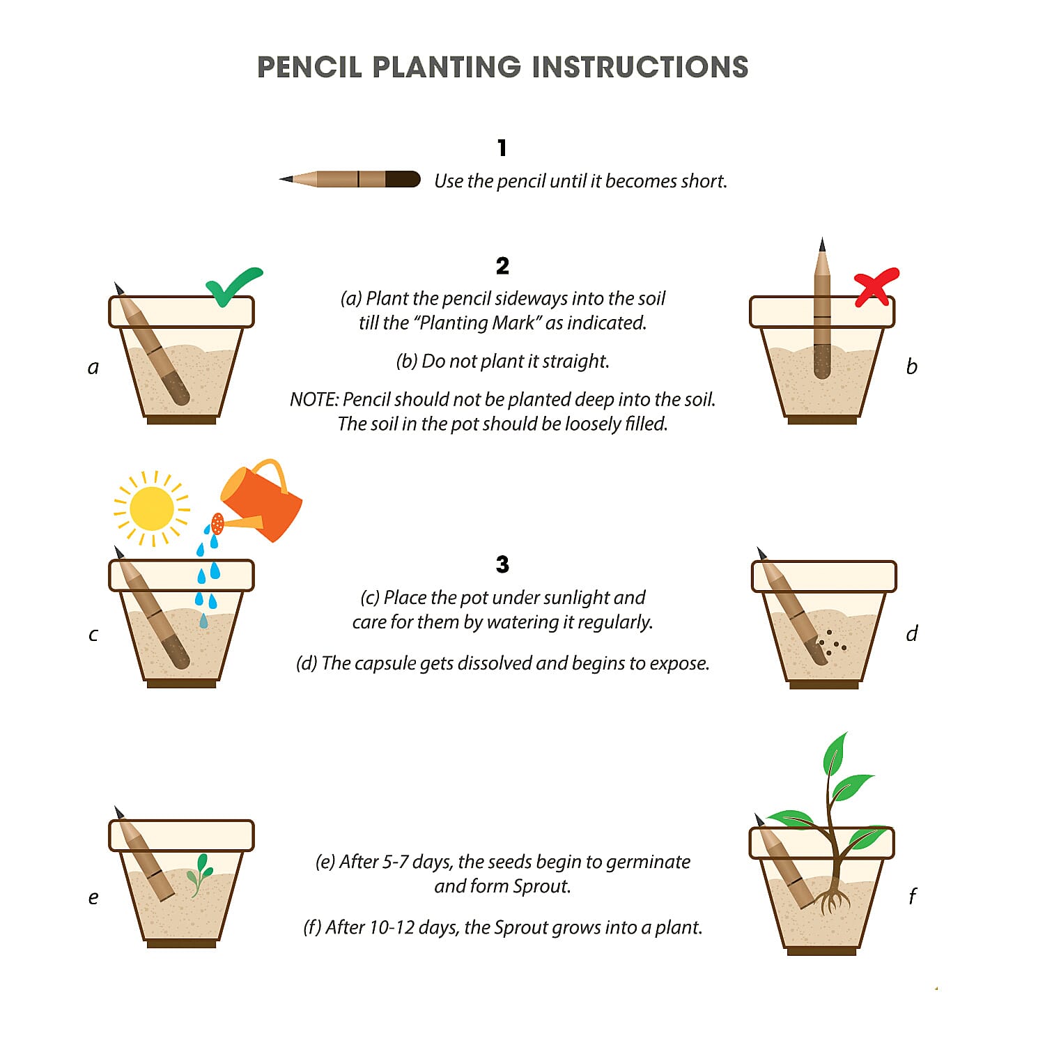 Set of 10 Plantable Mini Colored Pencils (Flower Seeds)