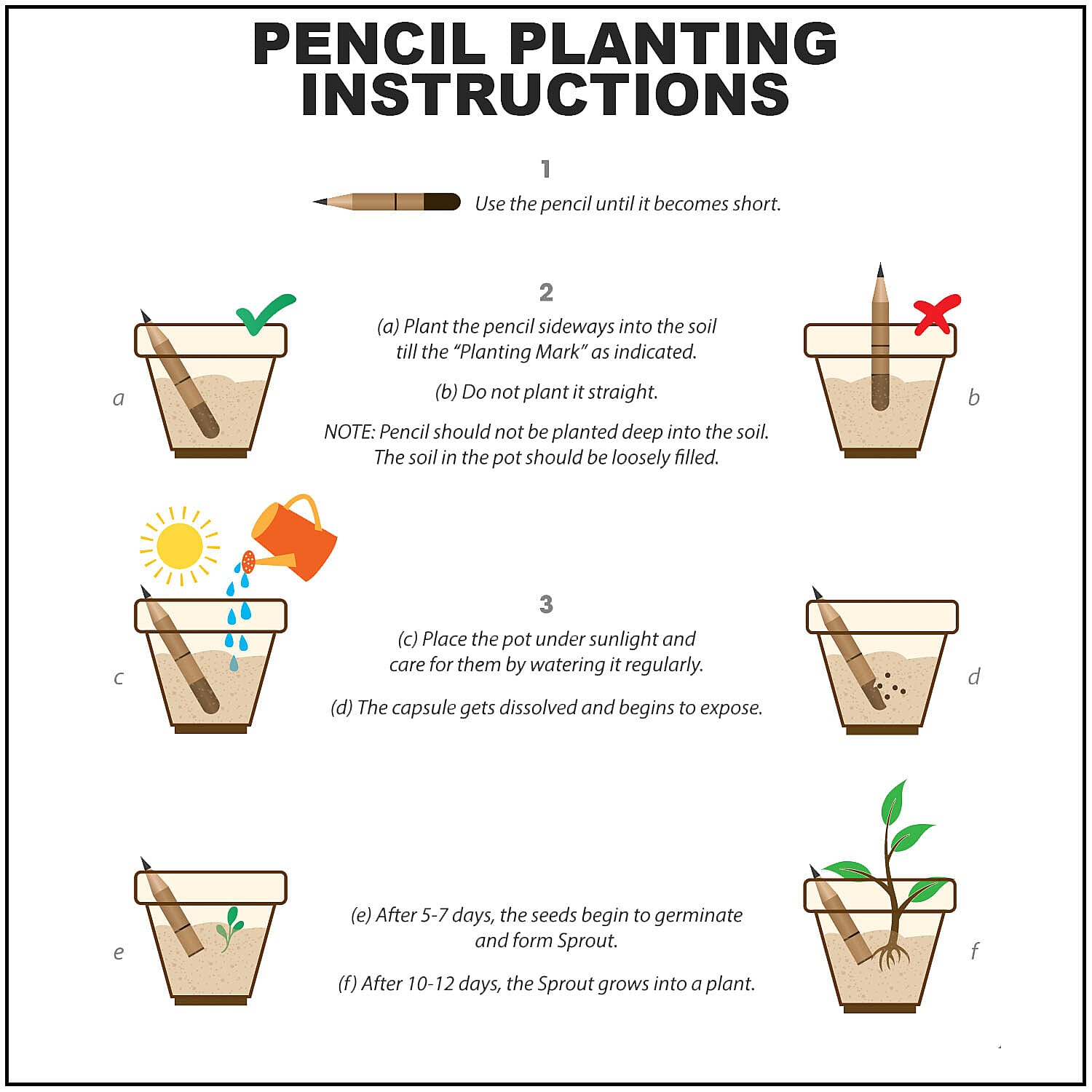 Set of 20 Recycled Paper Pen with Flower Seed