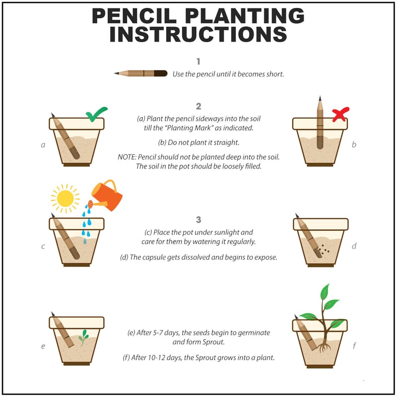 Set of 20 Recycled Paper Pen with Flower Seed