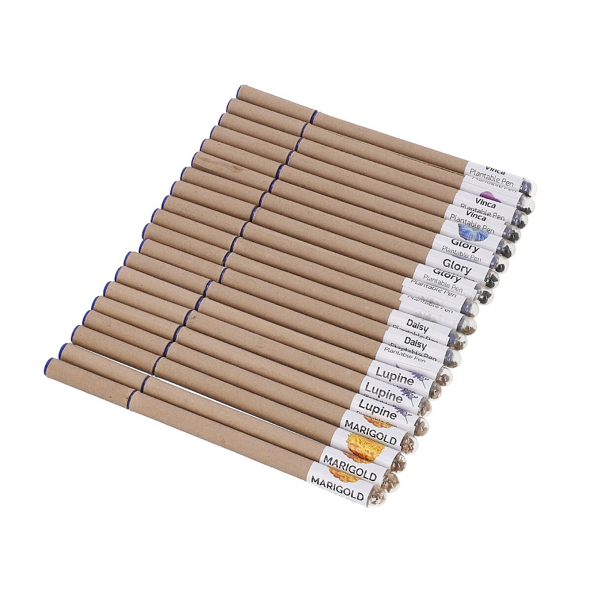 Set of 20 Recycled Paper Pen with Flower Seed